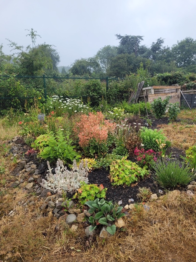 Other image for Barnsley’s best garden: How digging deep has been group’s only option